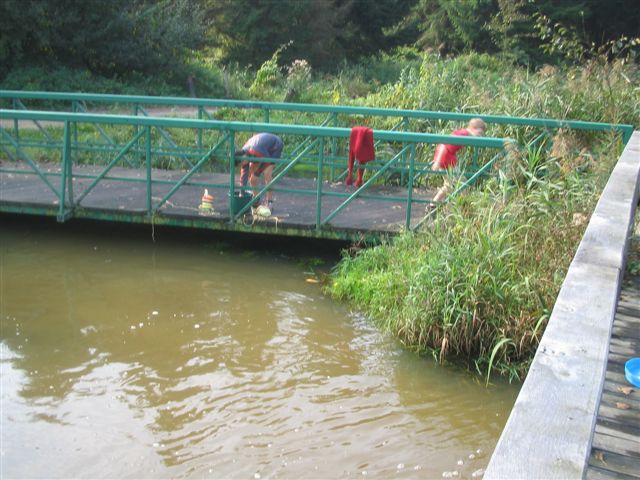 Klik op de foto om originele grootte te bekijken