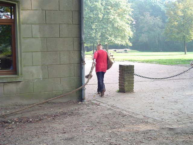 Klik op de foto om originele grootte te bekijken