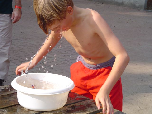 Klik op de foto om originele grootte te bekijken