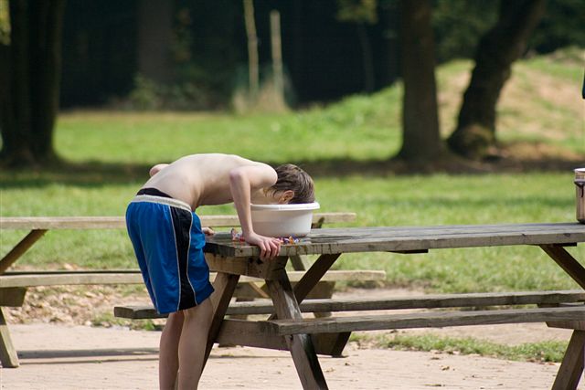 Klik op de foto om originele grootte te bekijken