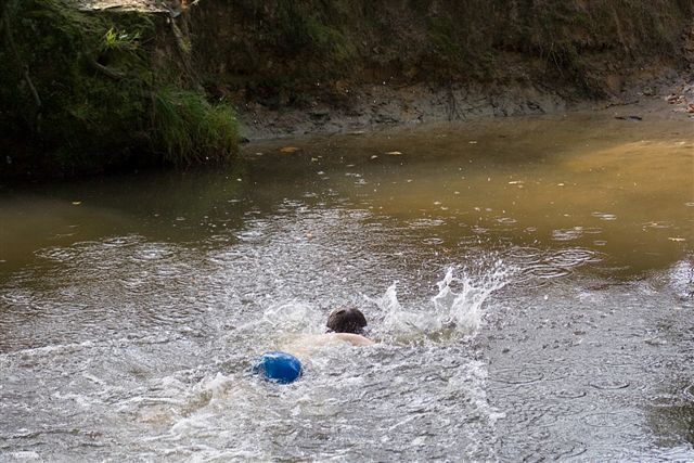 Klik op de foto om originele grootte te bekijken