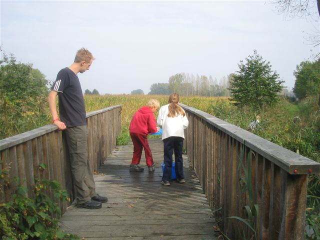 Klik op de foto om originele grootte te bekijken