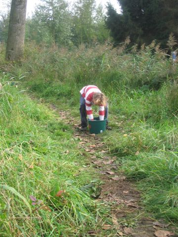 Klik op de foto om originele grootte te bekijken