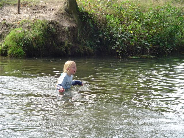 Klik op de foto om originele grootte te bekijken