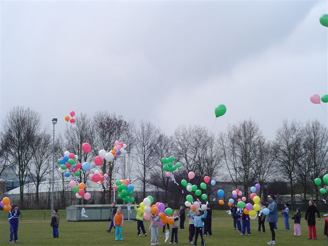 Klik op de foto om originele grootte te bekijken