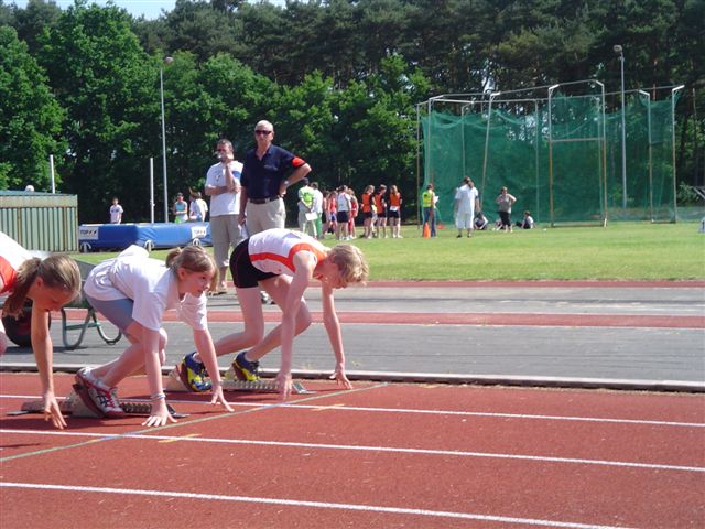 Klik op de foto om originele grootte te bekijken