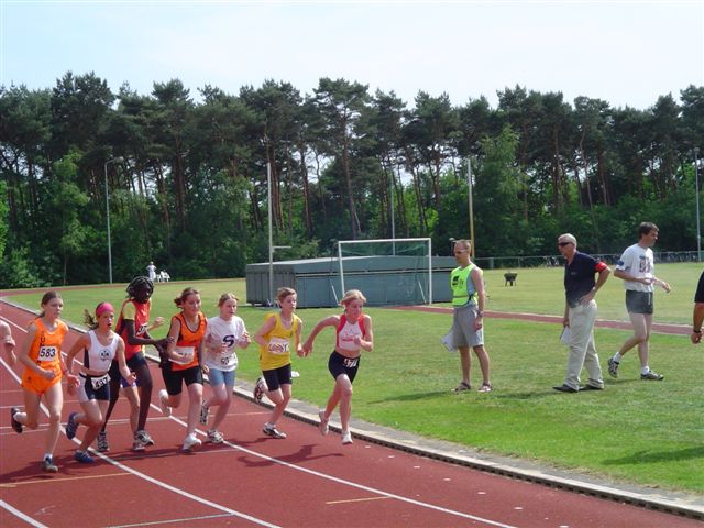 Klik op de foto om originele grootte te bekijken