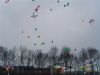 Bestandsnaam : DSC03252.jpg
Bestandsgrootte : 45KB
Afmetingen : 640x480
Datum toegevoegd : 11 okt 2005 DSC03252.jpg