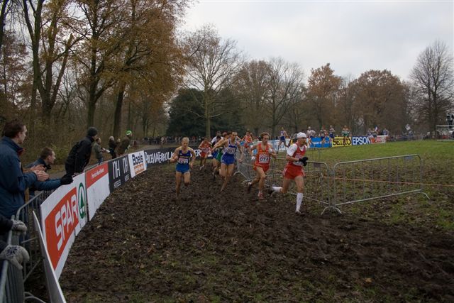 Klik op de foto om originele grootte te bekijken