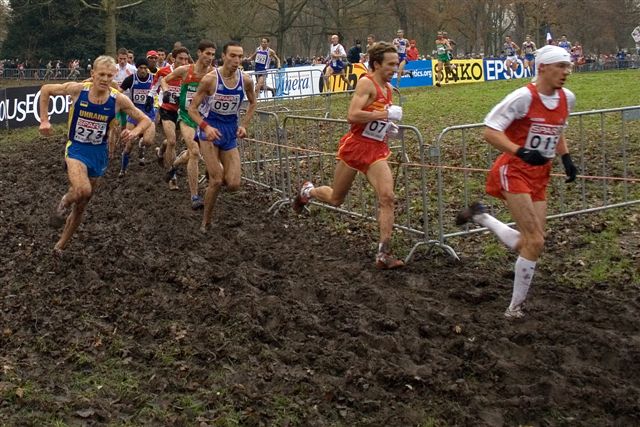 Klik op de foto om originele grootte te bekijken