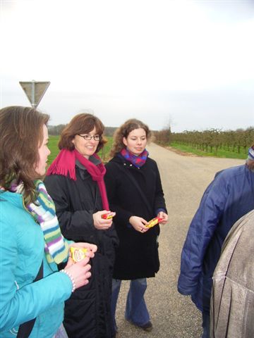 Klik op de foto om originele grootte te bekijken