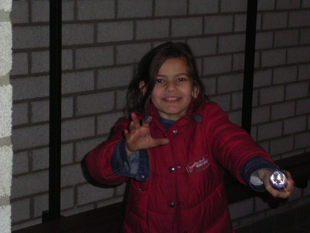 Klik op de foto om originele grootte te bekijken