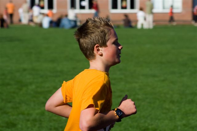 Klik op de foto om originele grootte te bekijken