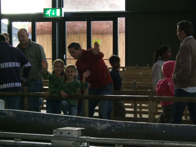 Klik op de foto om originele grootte te bekijken