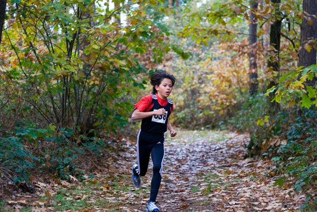 Klik op de foto om originele grootte te bekijken