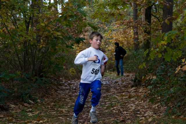 Klik op de foto om originele grootte te bekijken