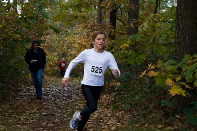 Klik op de foto om originele grootte te bekijken