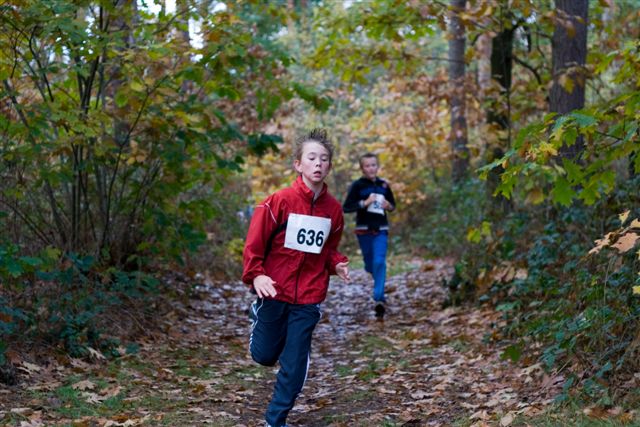 Klik op de foto om originele grootte te bekijken