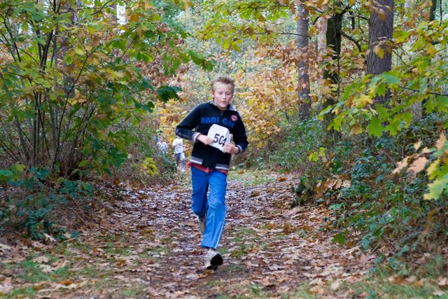 Klik op de foto om originele grootte te bekijken