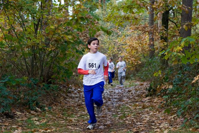 Klik op de foto om originele grootte te bekijken