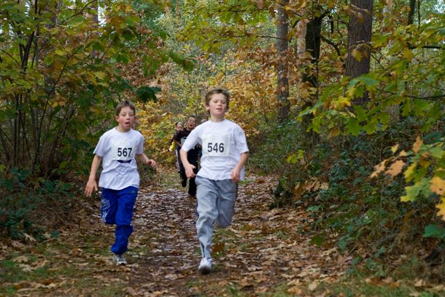 Klik op de foto om originele grootte te bekijken