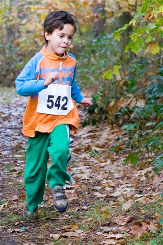 Klik op de foto om originele grootte te bekijken