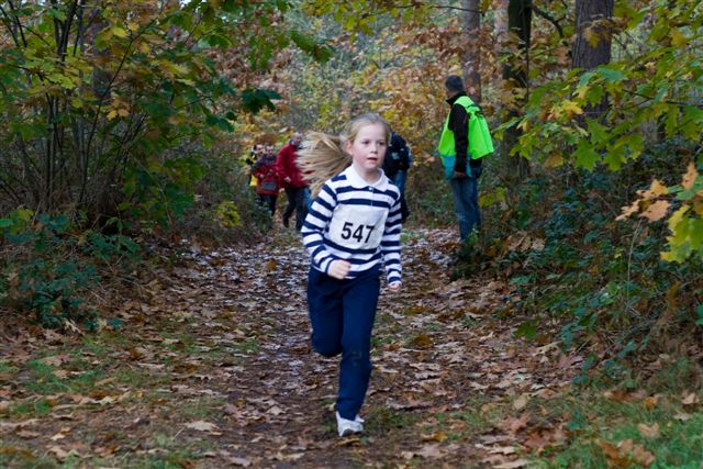 Klik op de foto om originele grootte te bekijken