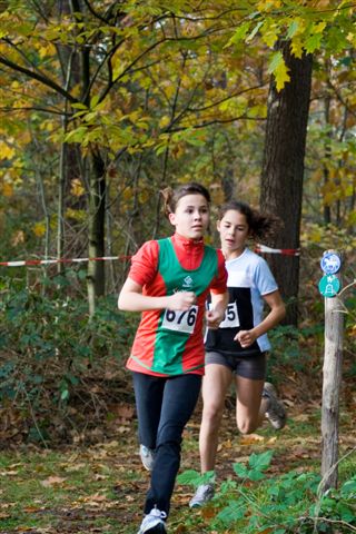 Klik op de foto om originele grootte te bekijken