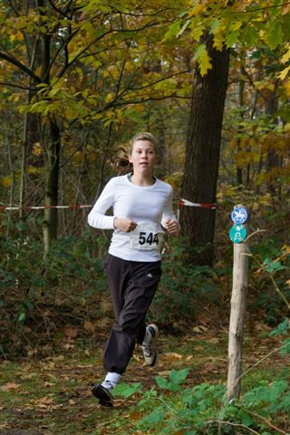 Klik op de foto om originele grootte te bekijken