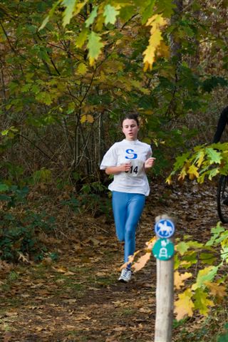 Klik op de foto om originele grootte te bekijken