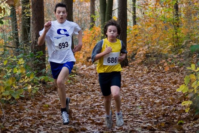 Klik op de foto om originele grootte te bekijken