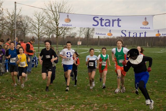 Klik op de foto om originele grootte te bekijken