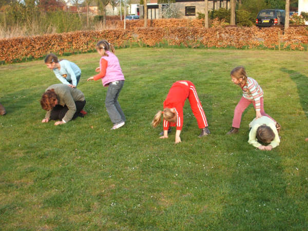 Klik op de foto om originele grootte te bekijken