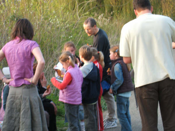 Klik op de foto om originele grootte te bekijken