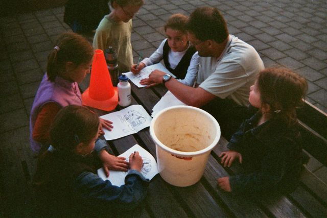 Klik op de foto om originele grootte te bekijken