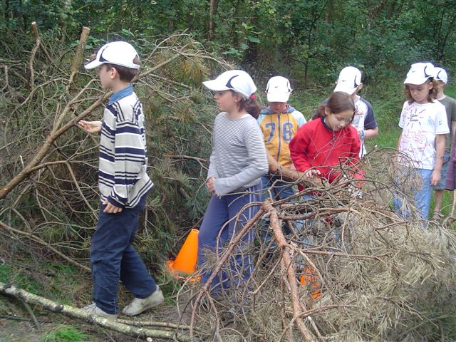 Klik op de foto om originele grootte te bekijken