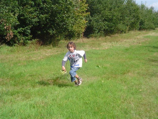 Klik op de foto om originele grootte te bekijken