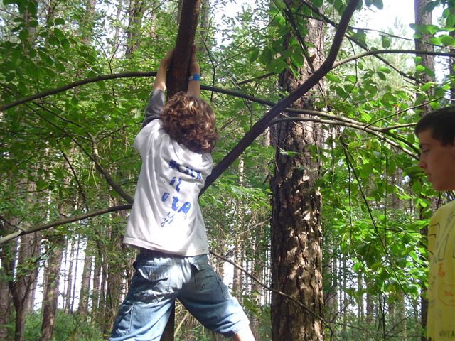 Klik op de foto om originele grootte te bekijken
