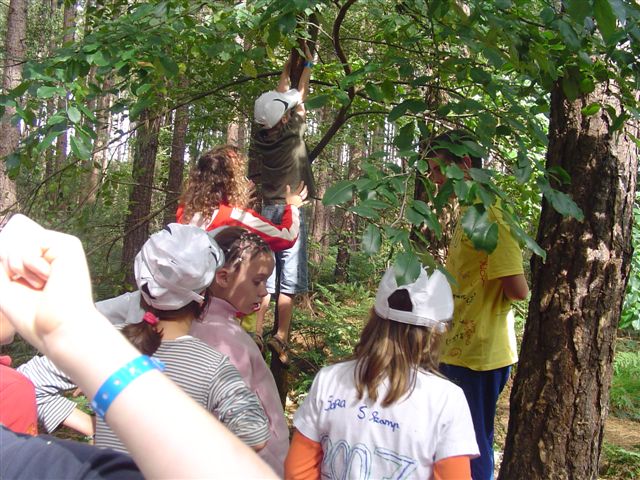 Klik op de foto om originele grootte te bekijken