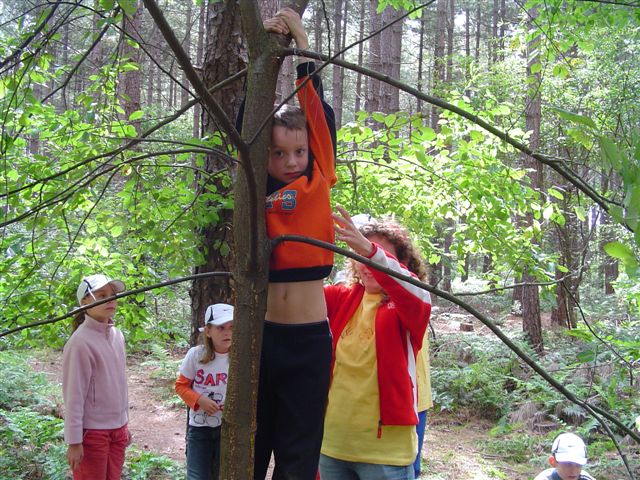 Klik op de foto om originele grootte te bekijken