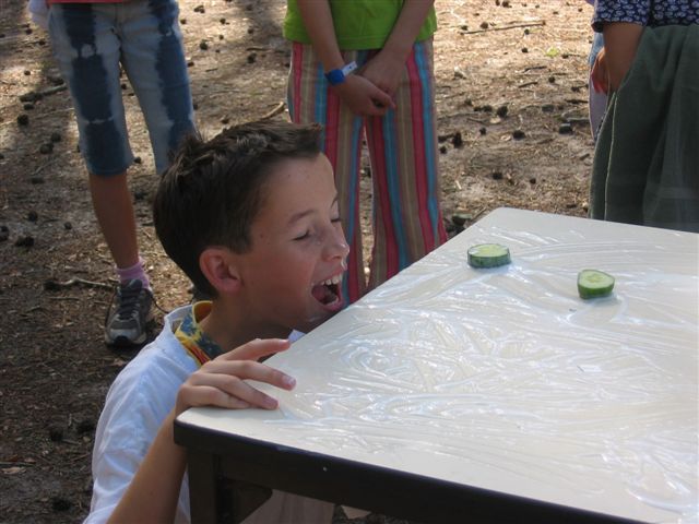 Klik op de foto om originele grootte te bekijken