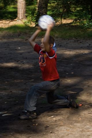 Klik op de foto om originele grootte te bekijken