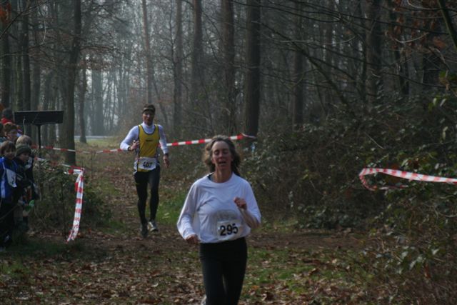 Klik op de foto om originele grootte te bekijken