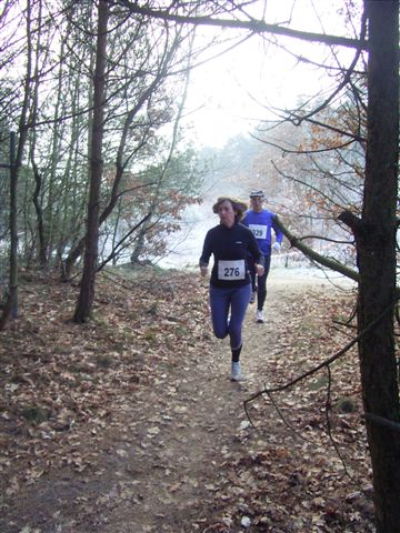 Klik op de foto om originele grootte te bekijken