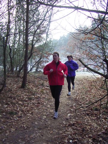 Klik op de foto om originele grootte te bekijken