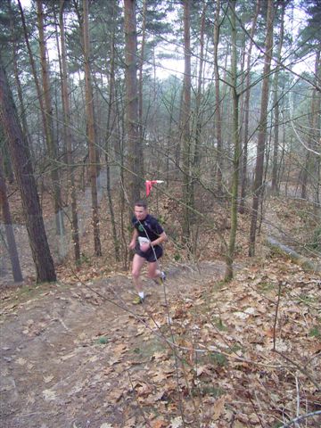 Klik op de foto om originele grootte te bekijken