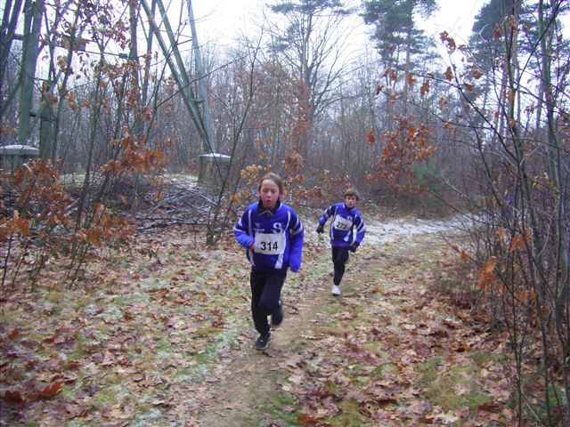 Klik op de foto om originele grootte te bekijken