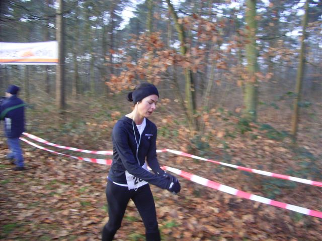 Klik op de foto om originele grootte te bekijken