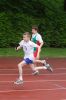 jd_4x80m_3.jpg