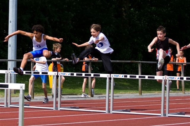 Klik op de foto om originele grootte te bekijken